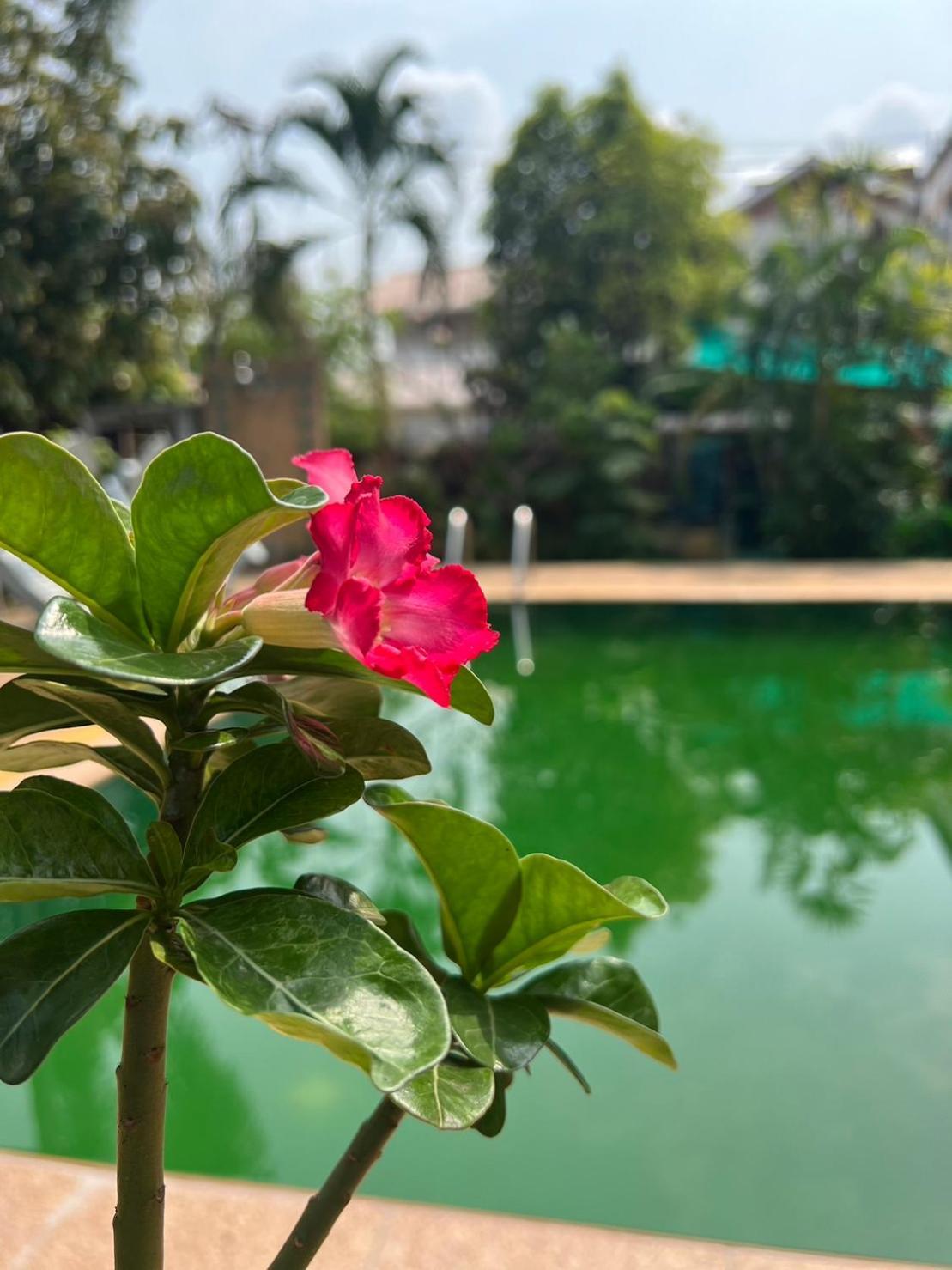 The Royal Shilton Resort Chiang Mai Esterno foto