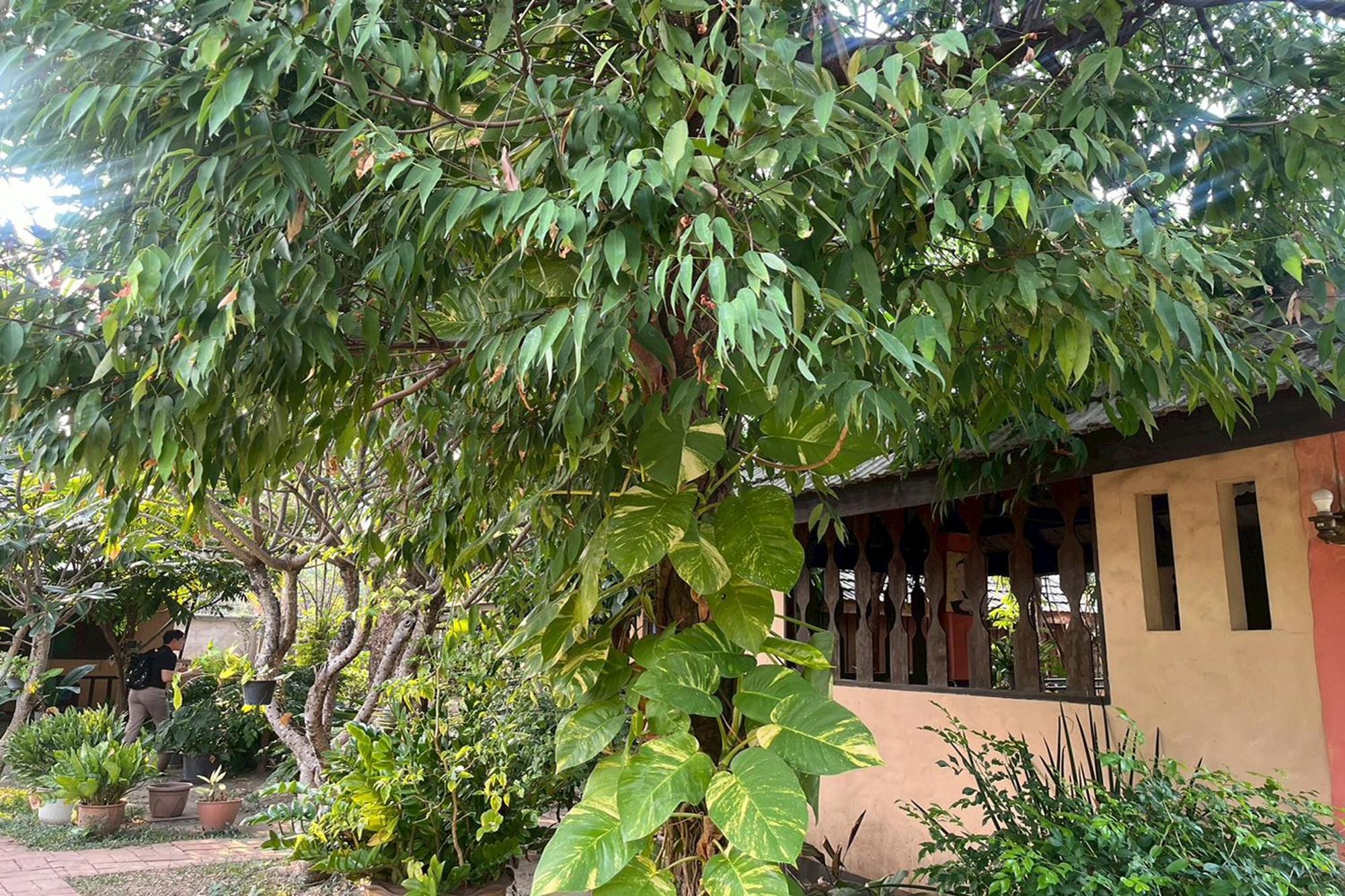 The Royal Shilton Resort Chiang Mai Esterno foto